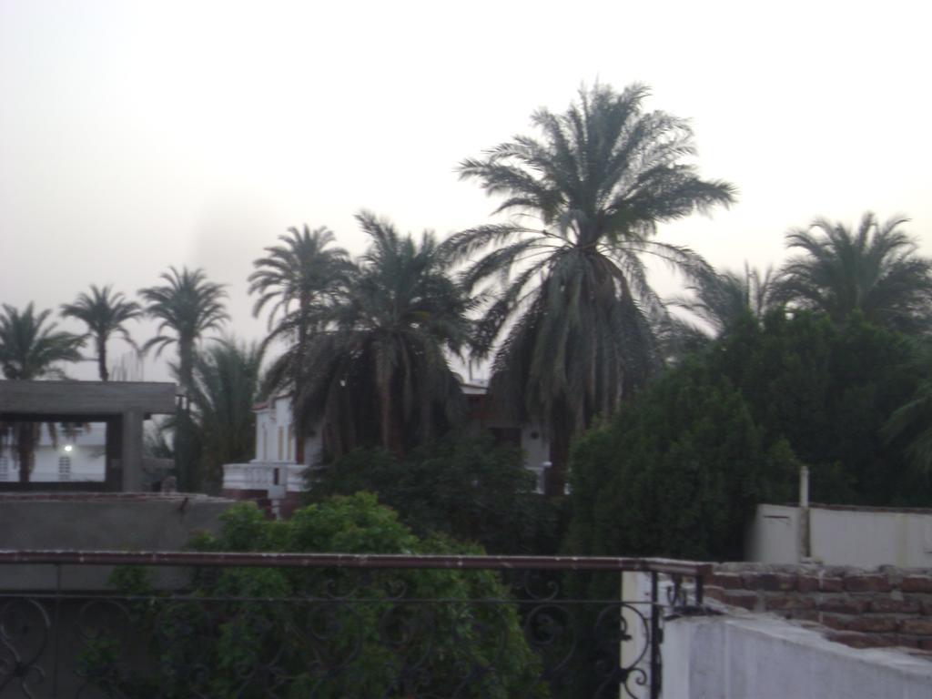Apartment White Luxor